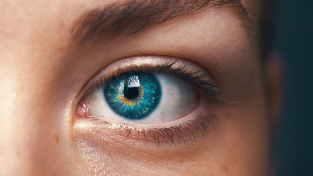 The Eyes Are a Window Into Alzheimer's Disease, Suggests New Study