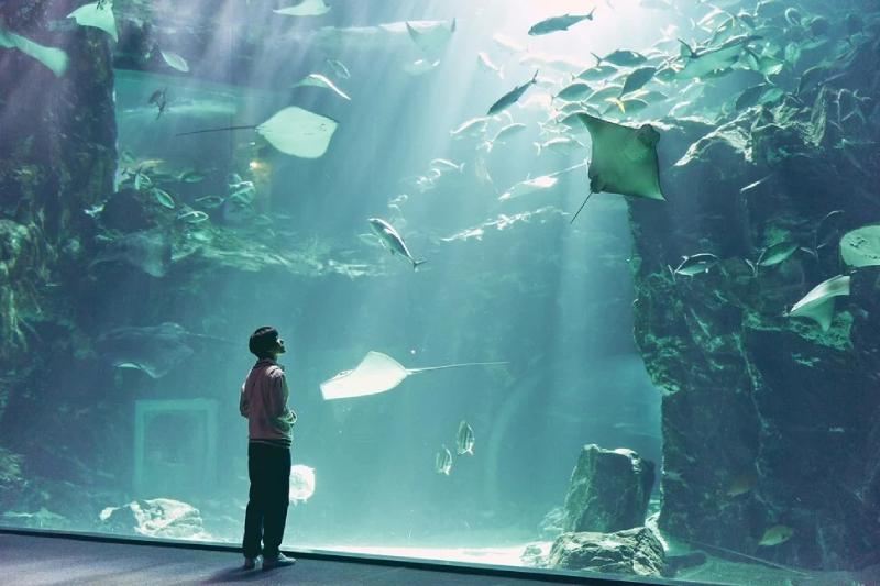 K-drama review: Move to Heaven - sentimental Netflix drama starring Lee Je-hoon and Tang Jun-sang