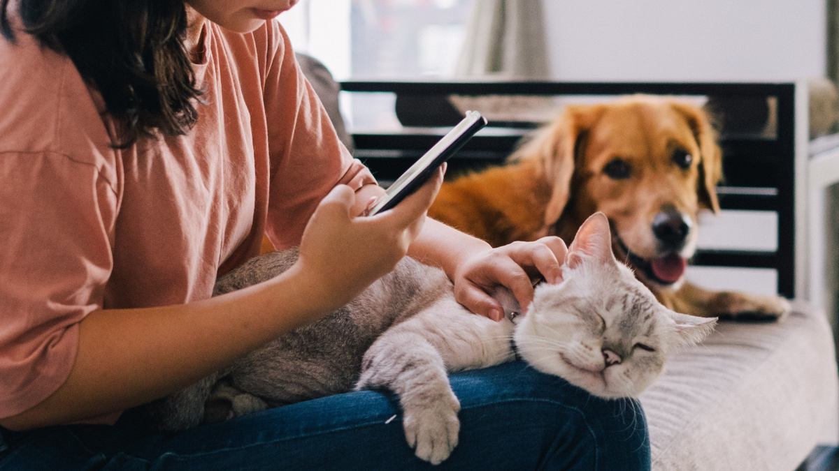 Former Doctor Anywhere CEO’s new pet telehealth startup bags seed funding