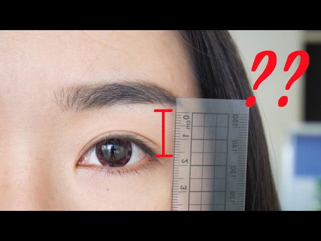 眼影技巧 ║ 眼影到底要画多高才好看呢？（内双、外双比较）