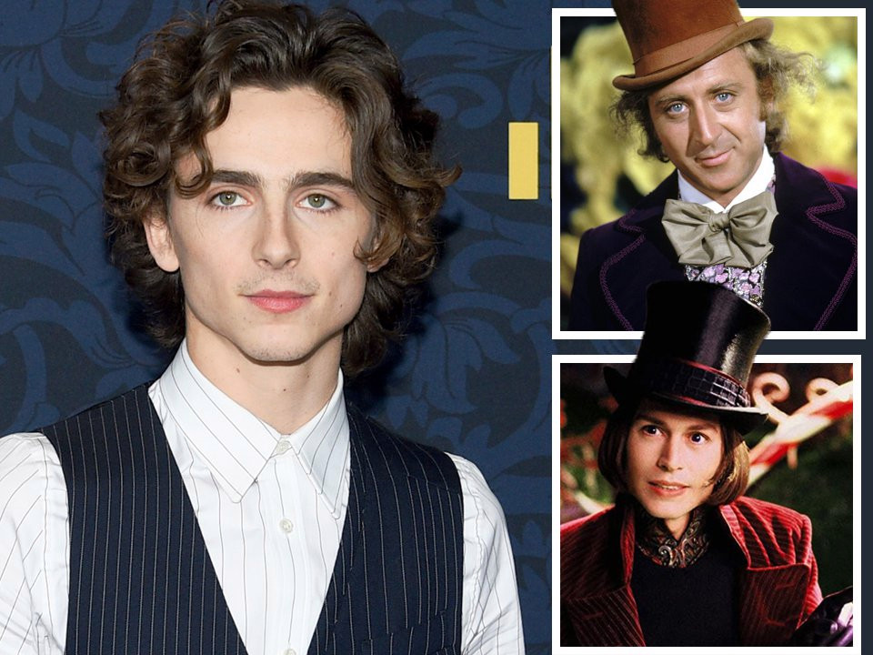 Timothee Chalamet To Play Young Willy Wonka In Charlie And The 