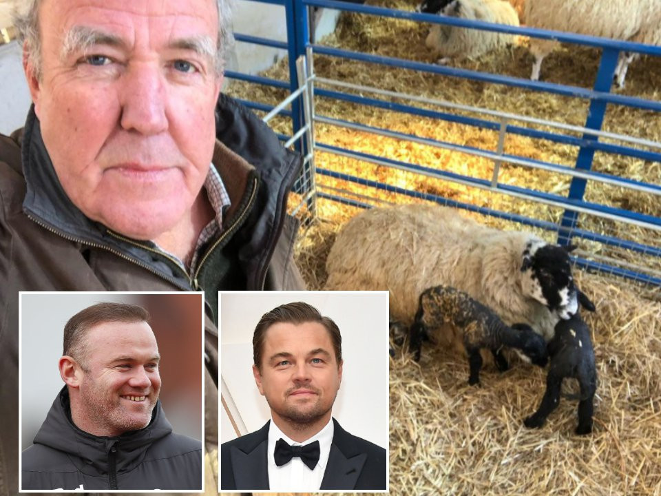 Jeremy Clarkson names ‘randy’ rams mating with his 75 sheep after Wayne Rooney and Leonardo DiCaprio