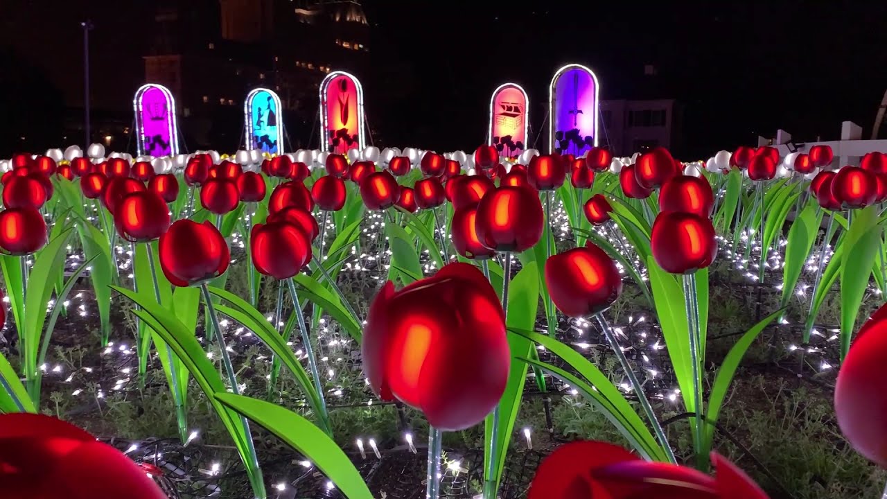 MUST SEE Epic Light Show at JAPAN's Largest Theme Park