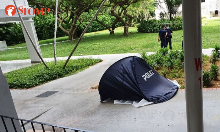 Murder or suicide? 38-year-old woman found dead at foot of Laguna Park condo!