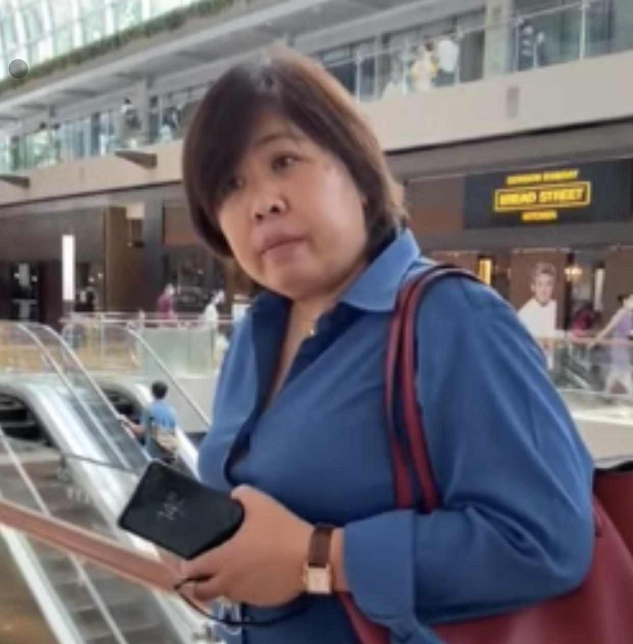 ‘Badge Lady’ asks that charges against her be dropped, claims there were ‘errors’ in the investigation