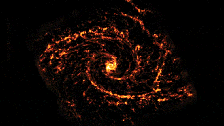 Map of the Nearby Universe Created by Cosmic Cartographers Reveals the Diversity of Star-Forming Galaxies