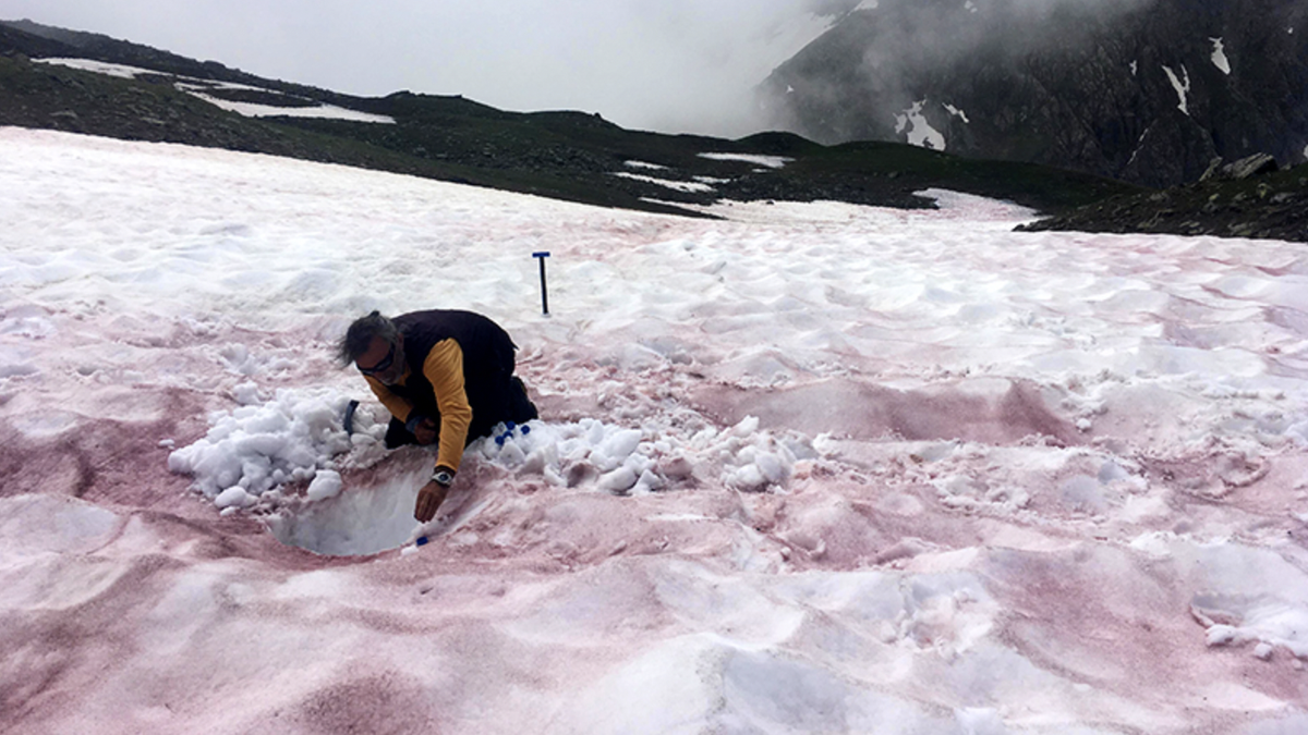‘Glacier Blood’ Is Our Latest Nightmare