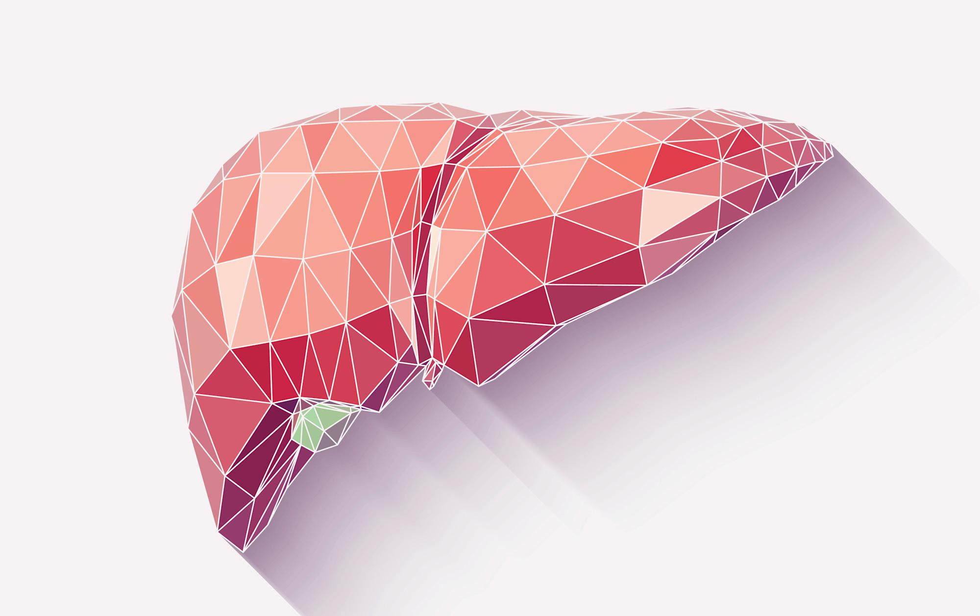 Wake Forest teams win a NASA prize for 3D printing human liver tissue