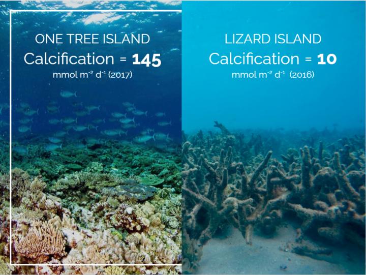 Declining growth rates of global coral reef ecosystems