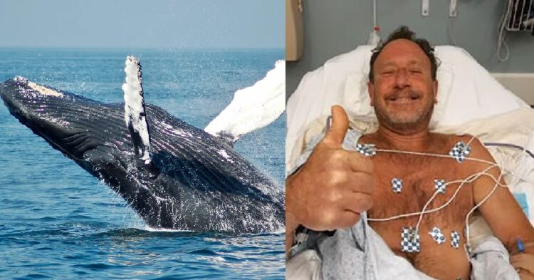 man-swallowed-by-whale-spits-him-out-and-survives-to-tell-the-tale