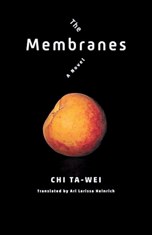 The Membrane: Chi Ta-wei’s eerily prescient novel on the terrors of technology available for the first time in English