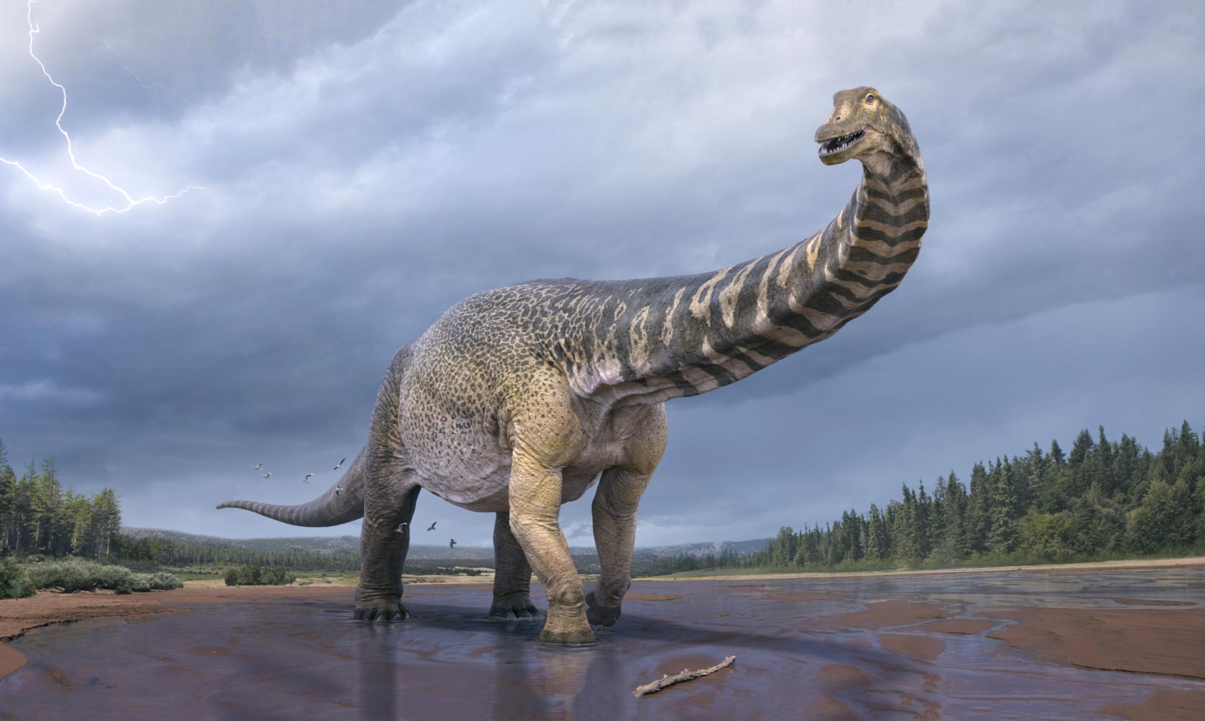 Australia’s Largest Dinosaur – The Southern Titan – Has Just Stomped Into the Record Books!