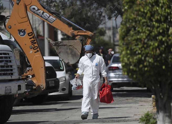 Grisly Find at Ex-Butcher's Home: 3.8K Bone Fragments