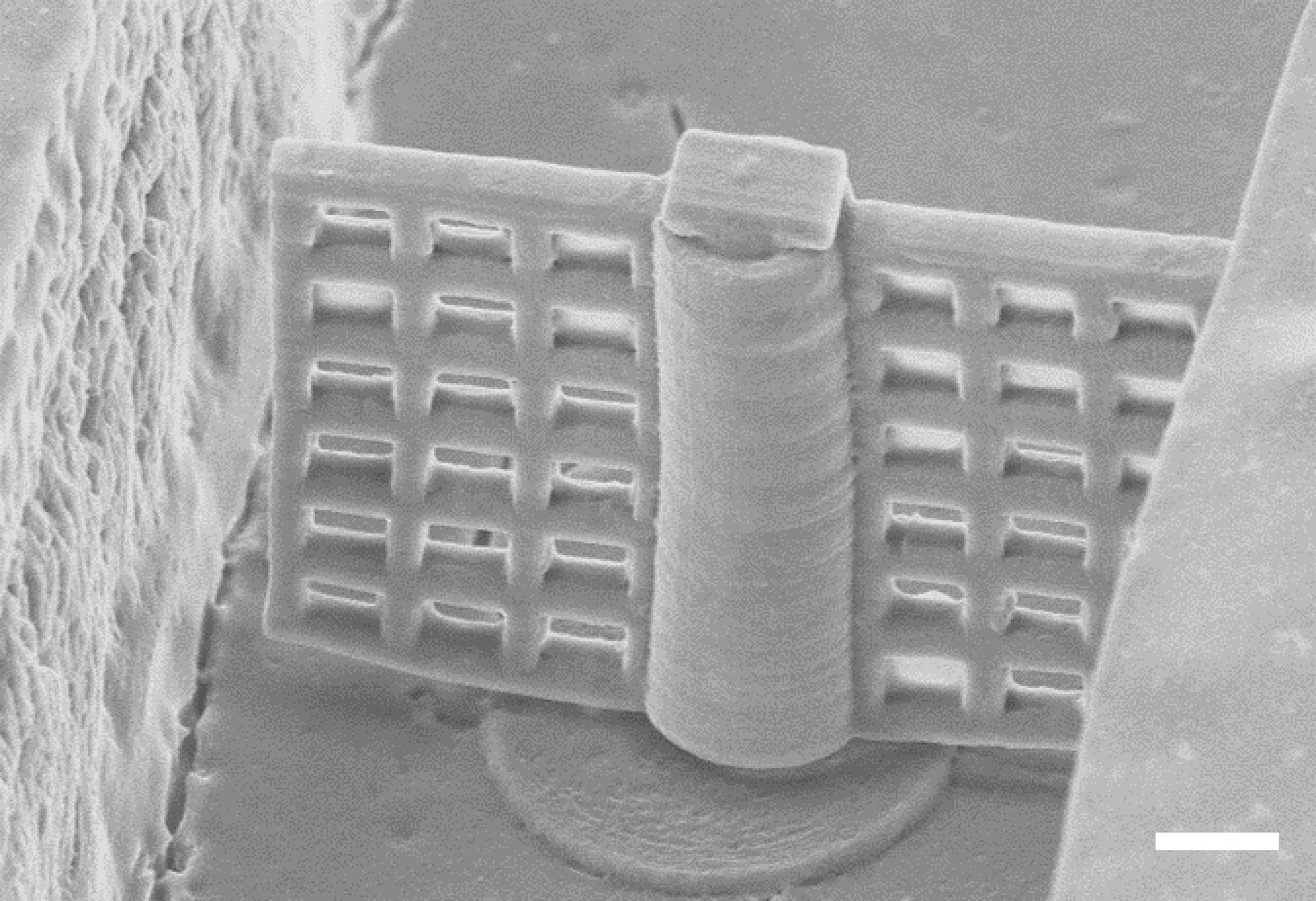 Researchers 3D-print rotating microfilter for lab-on-a-chip applications