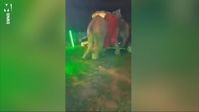 Elephant trashes wedding and flips six cars after someone lets off firecracker