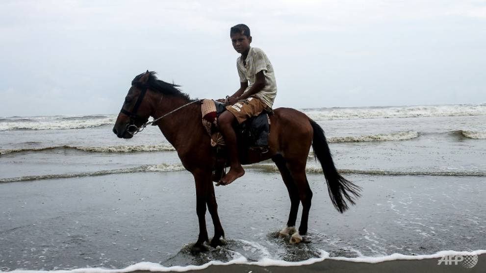 More horses die as Bangladesh tourist town reels from COVID-19 closures