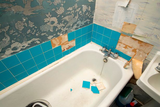 'Slum' estate CEO earns £343k-a-year while residents' live with rats, slugs and mould