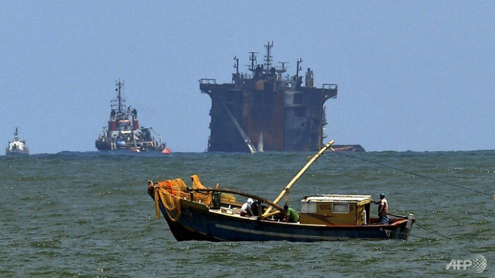 Wildlife deaths blamed on ship disaster mount in Sri Lanka