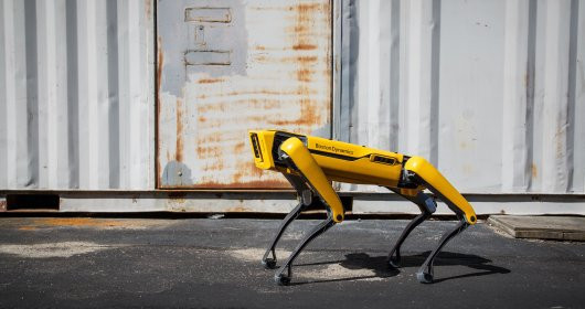 Hawaii police used Covid relief funds to buy a robotic dog for patrolling homeless camp
