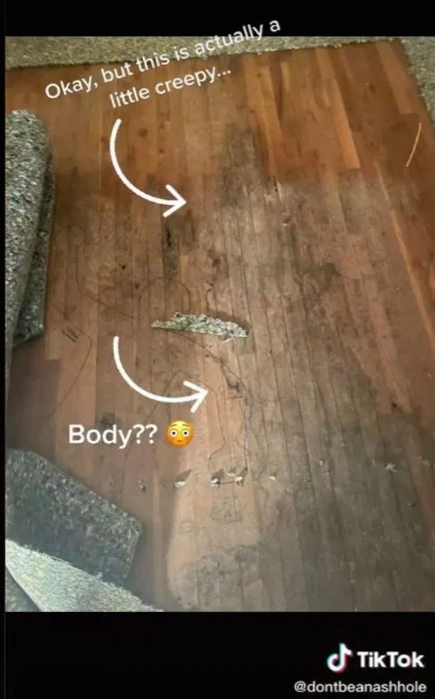 Woman horrified after discovering outline of 'body' with case number under carpet
