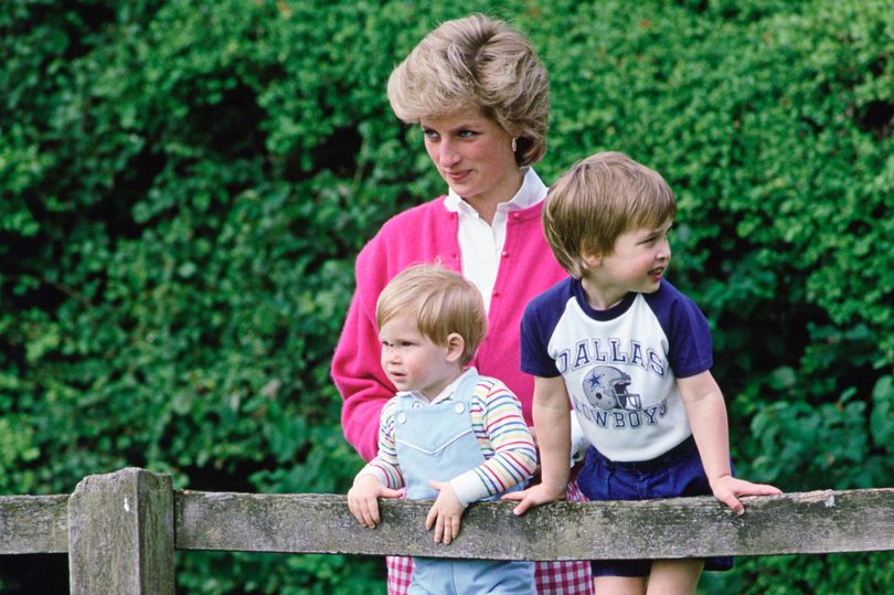 Diana made William and Harry 'promise to always be best friends', author claims