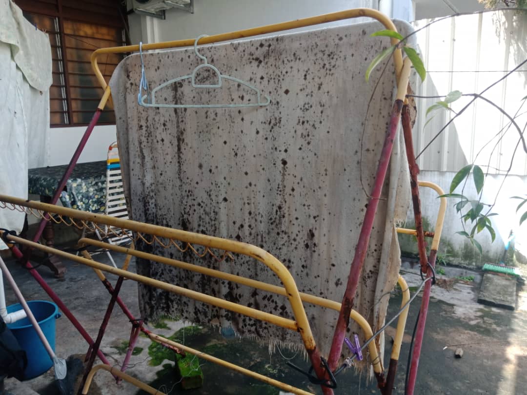 独居华妇向隔邻泼排泄物　邻居报警2次仍无法解决问题