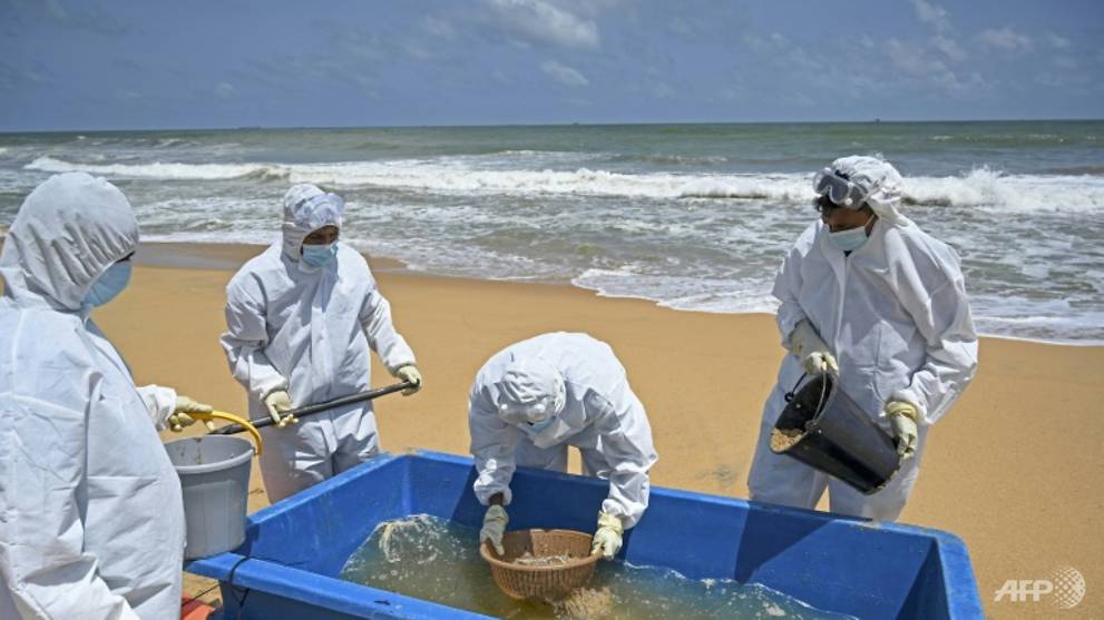 Sri Lanka's marine disaster worsens as environmental toll rises