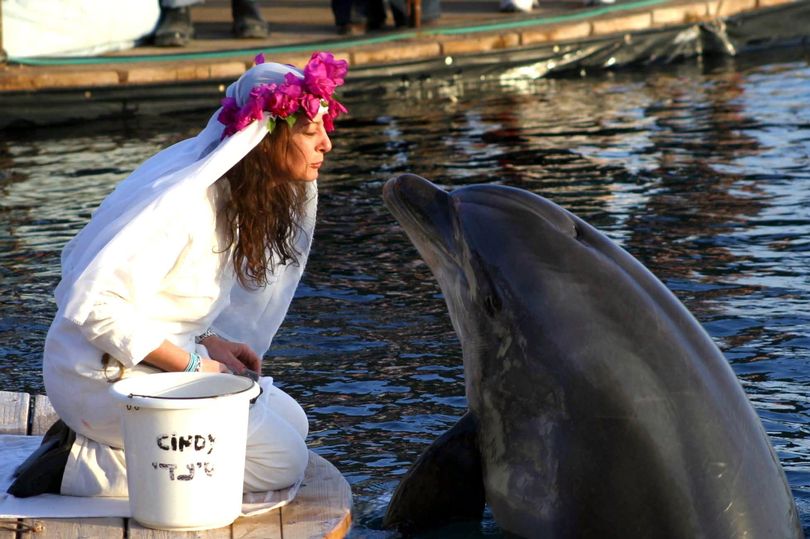 Woman mourns after her dolphin husband dies and says she will never remarry