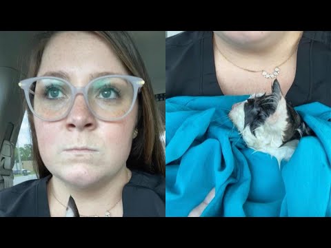 Self Proclaimed 'Cat-Hater' Saves Kitten From Gas Station