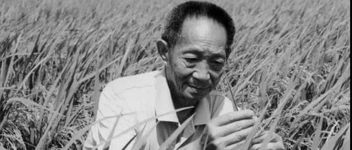 袁隆平去世才29天，这帮明星就开始出来恶心人了