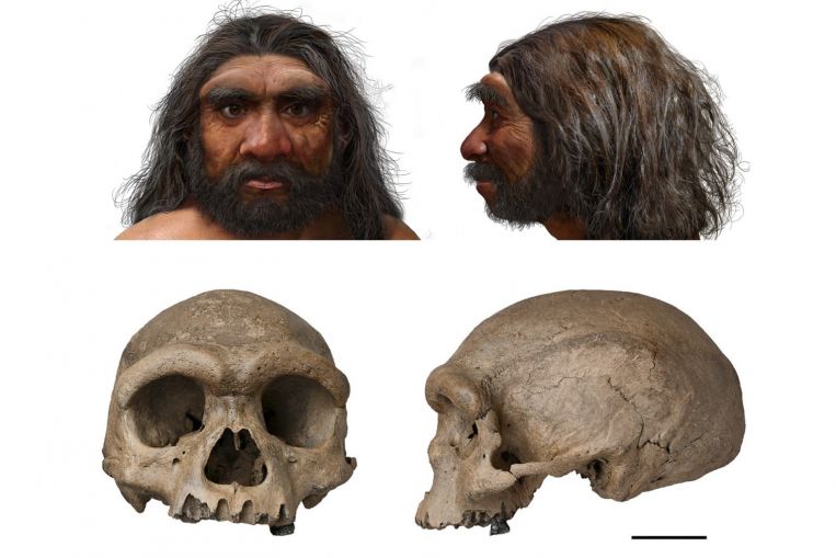 New human species - Dragon Man - said to be our closest ancestor