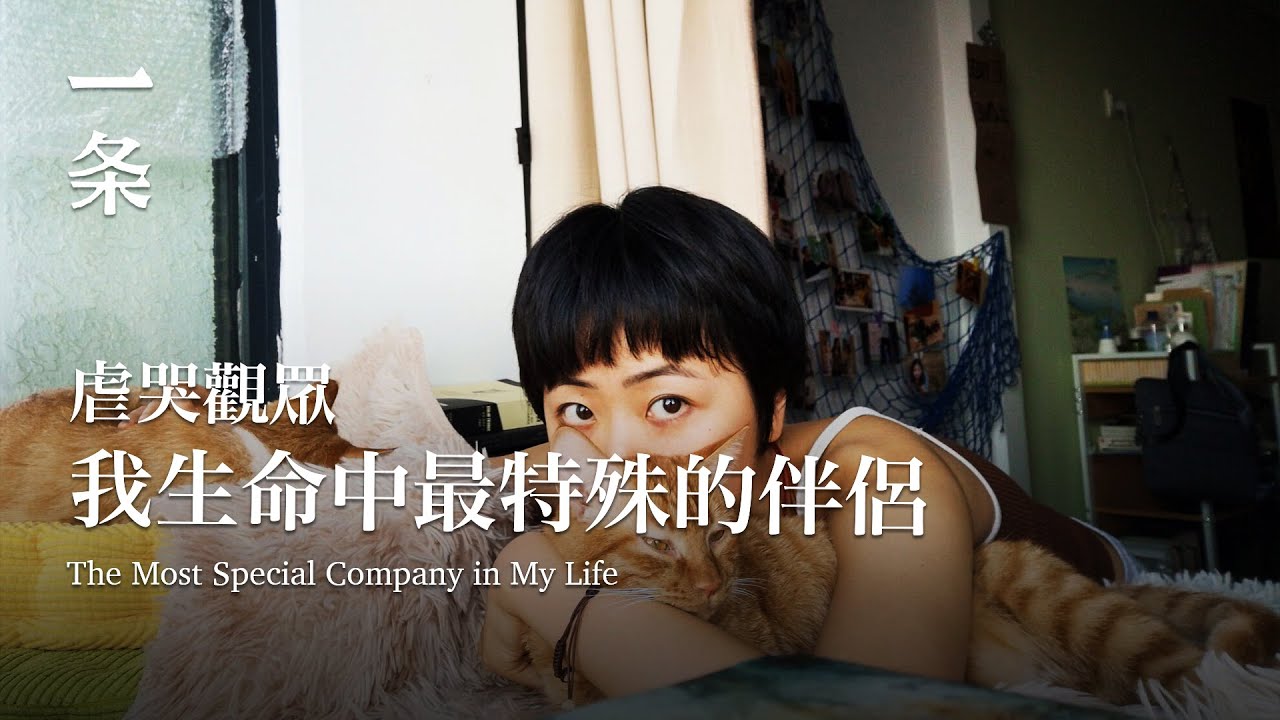 2021最「沒人性」的国产片，却虐哭了每一个观众 The man lived in seclusion in the mountains of Fujian for 30 years