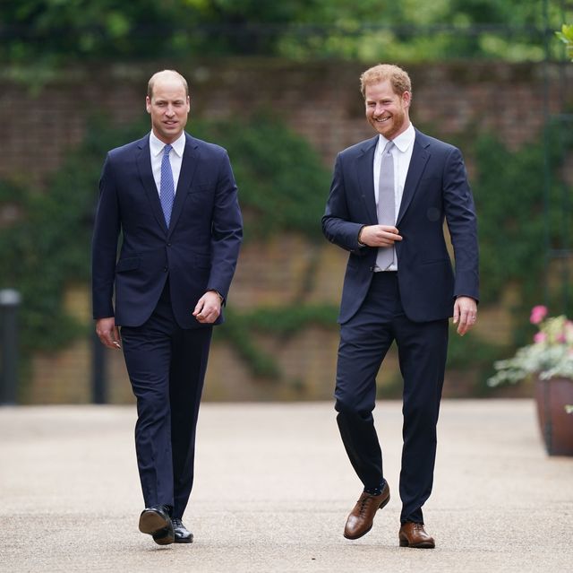Prince William And Prince Harry Reunite For Princess Diana S Statue