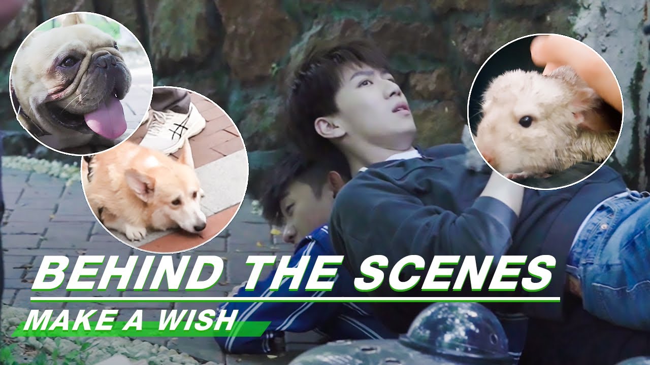 Behind The Scenes: Little Sweeties | Make A Wish | 喵，请许愿 | iQiyi