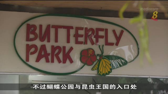 蝴蝶公园与昆虫王国后天关门歇业 不少公众趁最后一个周末前来游览