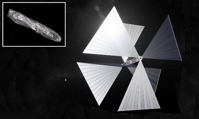 A tiny satellite with a solar sail could be built rapidly to catch interstellar objects