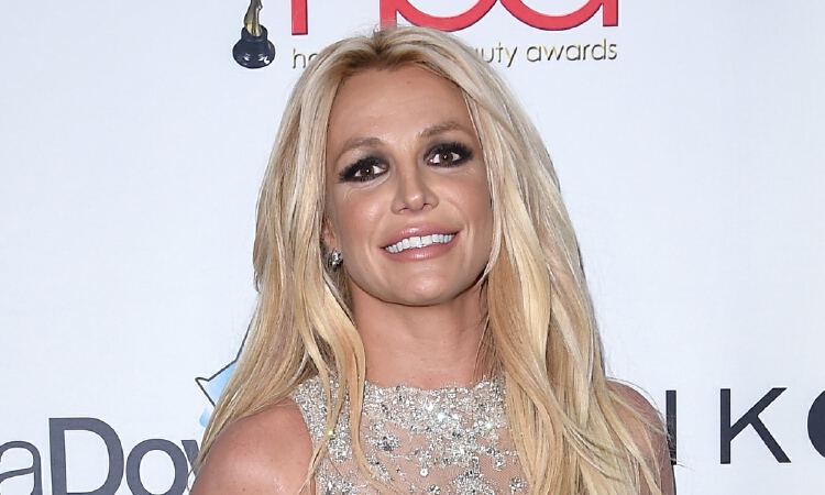 Britney Spears Has Fans Asking Questions With Revealing Picture Nestia