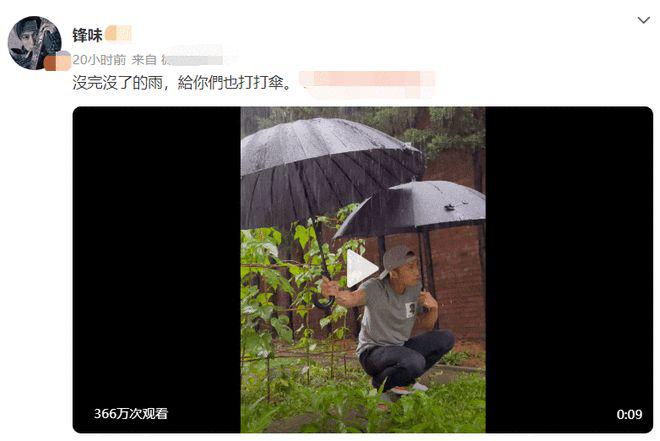 谢霆锋雨中给菜打伞被骂作秀 网友：儿子都不管