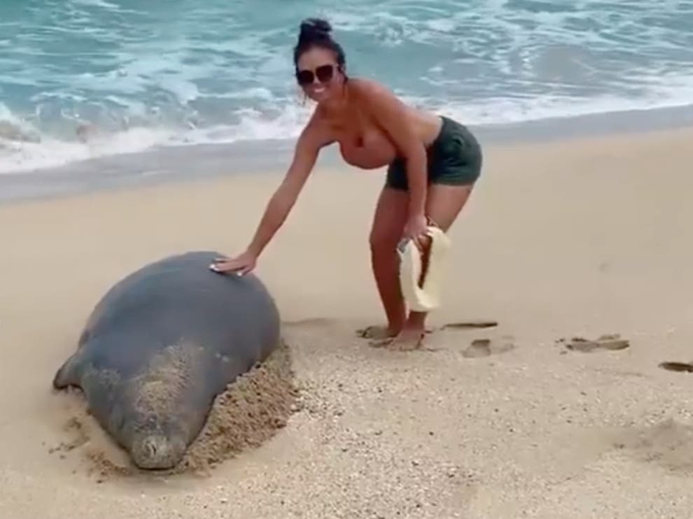 Couple Handed Fine After Touching Endangered Seal In Hawaii