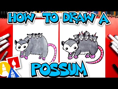 How To Draw A Possum (Opossum)