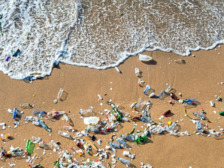 How long-term ingestion of microplastic harms growth and reproduction ...