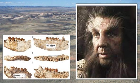 Prehistoric 'hobbit' creature discovery shows stunning evolution after dinosaur extinction