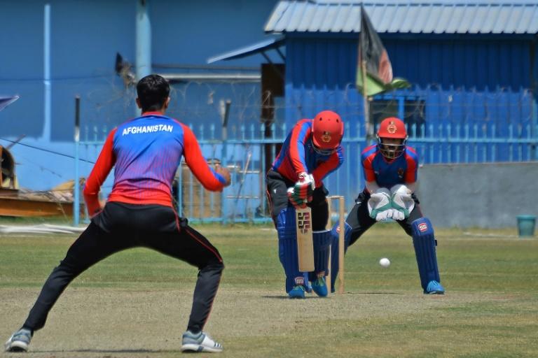Cricket Australia still aiming to host Afghanistan Test