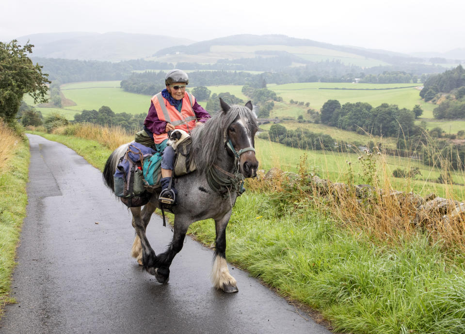 Jane, 80, makes yearly 600-mile pony trek with her disabled dog along for the ride