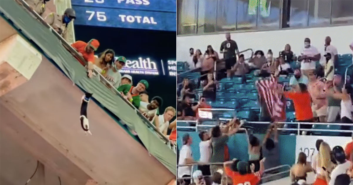Spectators use American flag to catch cat that fell 15m inside Miami stadium, crowd goes bananas