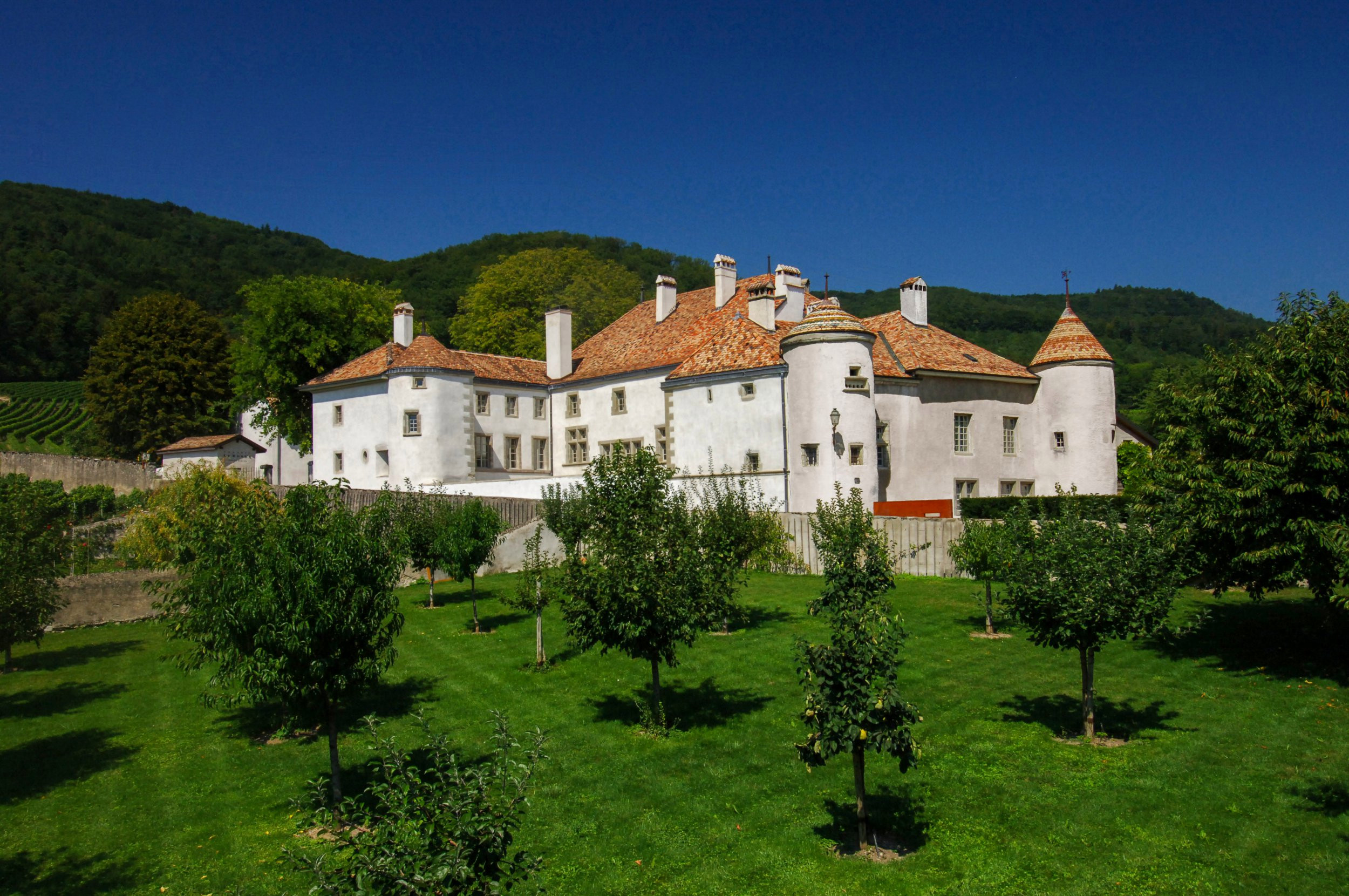 800-year-old Swiss chateau with vineyard and private spa is now on sale