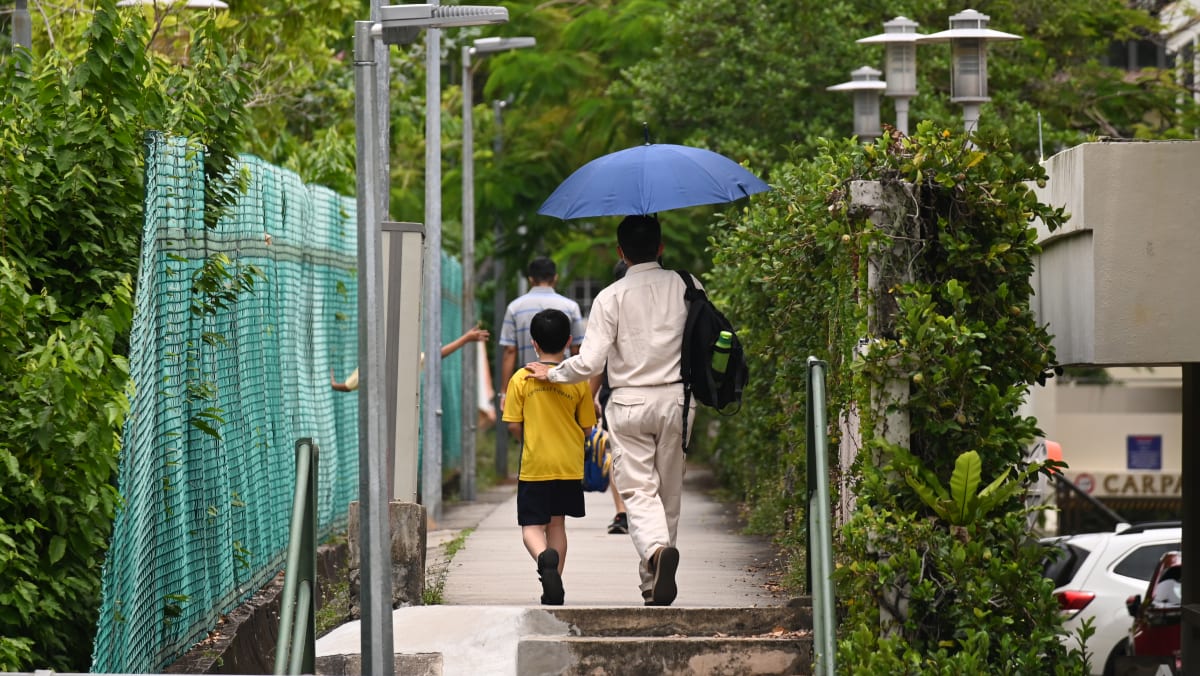 GE2025: Monday after Polling Day declared a school holiday