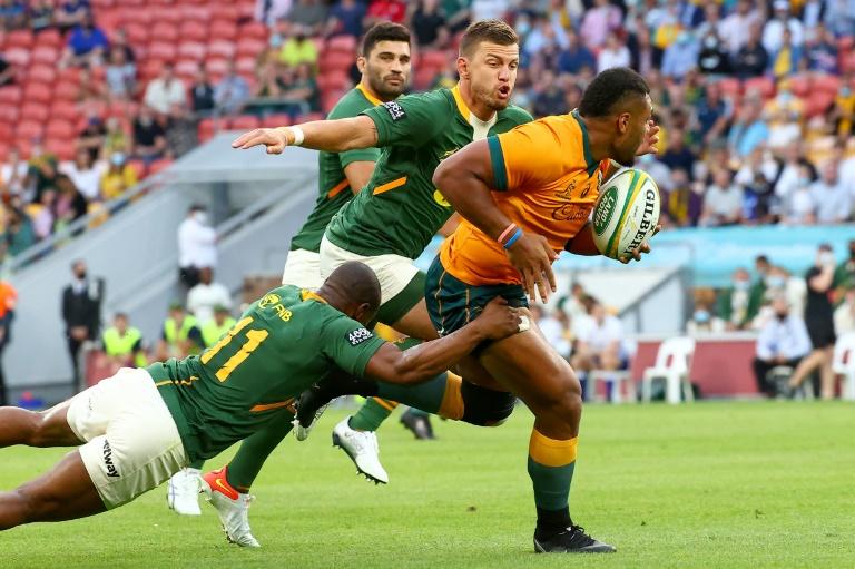 Springboks' Nienaber worried about 'massive' All Blacks challenge