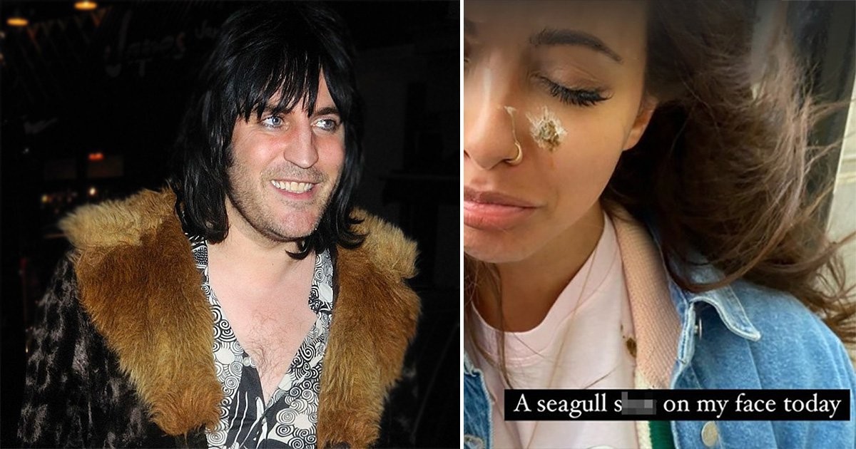 Noel Fielding teases Little Mix’s Jade Thirlwall over that infamous seagull incident on Never Mind The Buzzcocks
