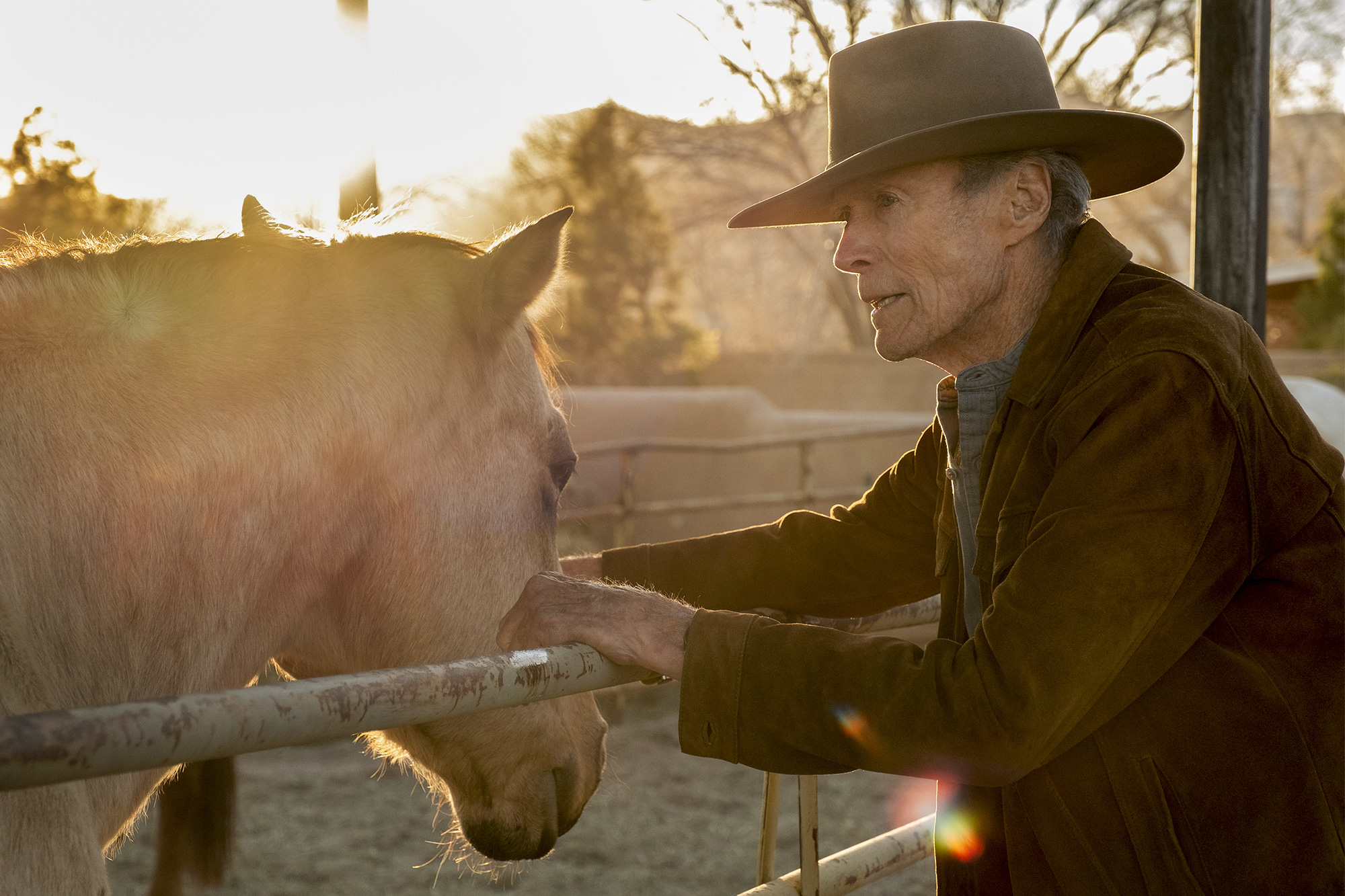Cry Macho review: Clint Eastwood plays the last cowboy in blunt, elegiac Western